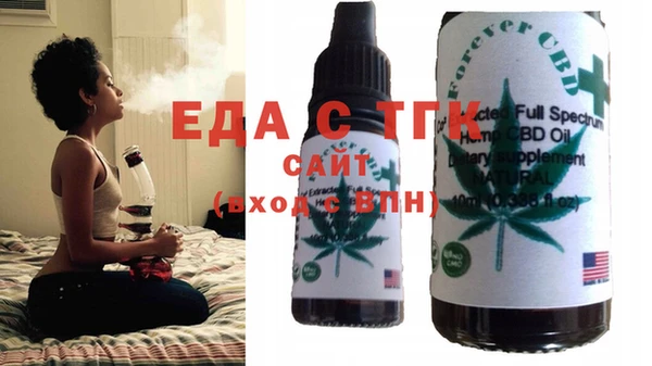 индика Горнозаводск