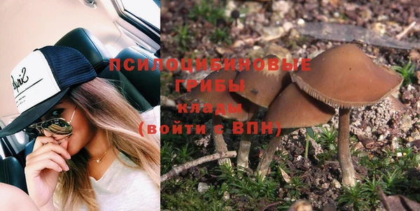 трава Горно-Алтайск
