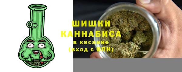 индика Горнозаводск