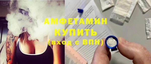 индика Горнозаводск