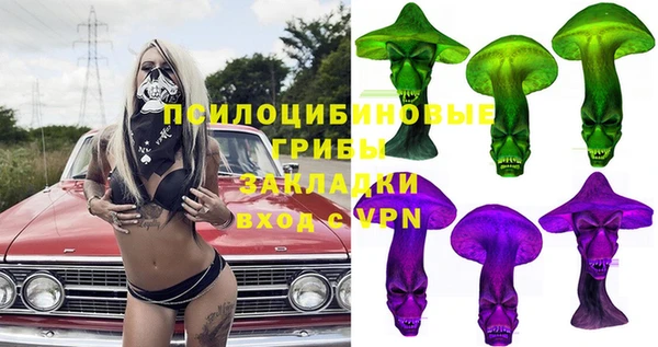 индика Горнозаводск