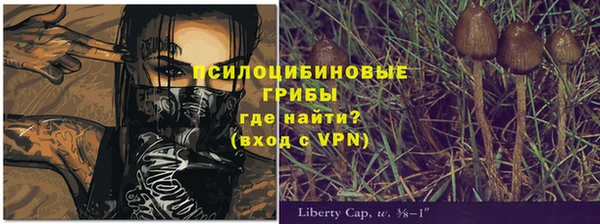 трава Горно-Алтайск