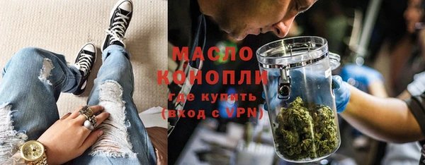 индика Горнозаводск